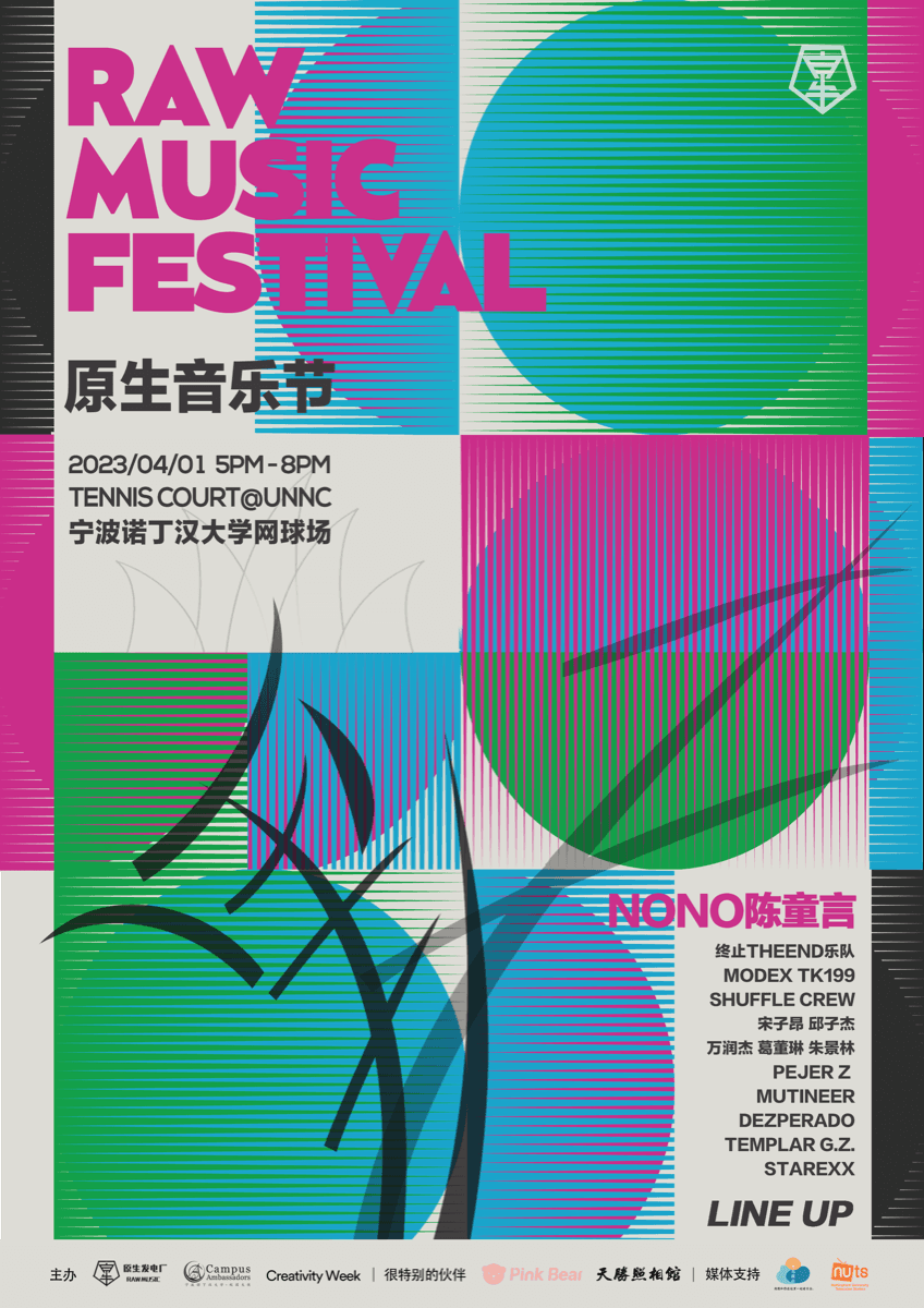 RAW Music Festival campaign poster
